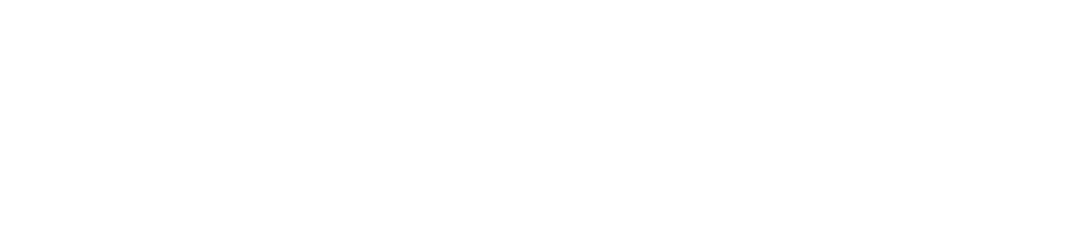 BSI.webp