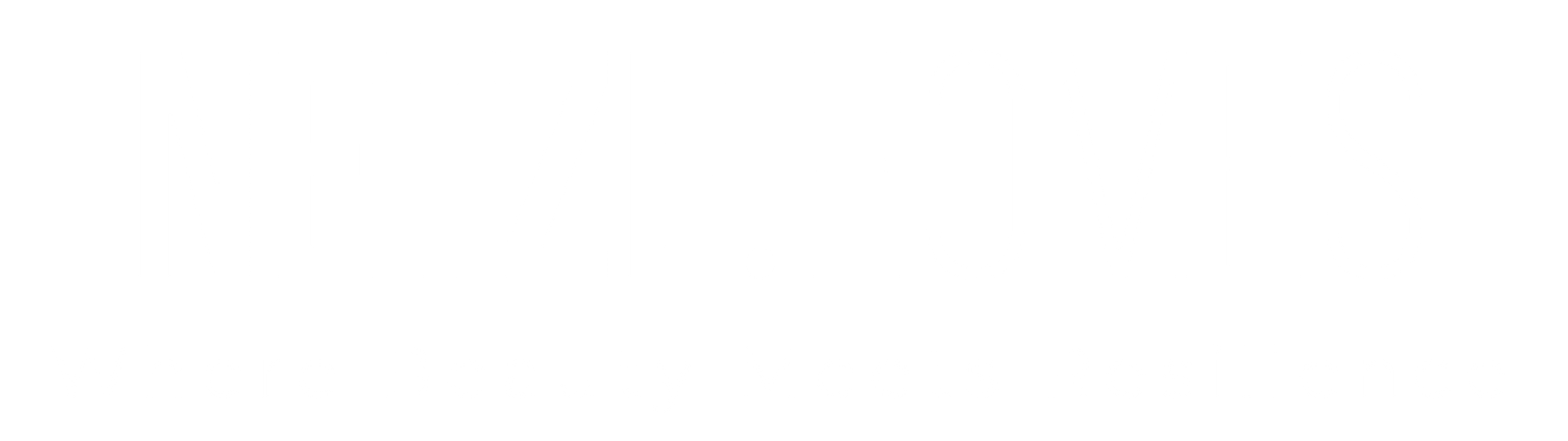 NETZE HOMES LOGO - WHITE