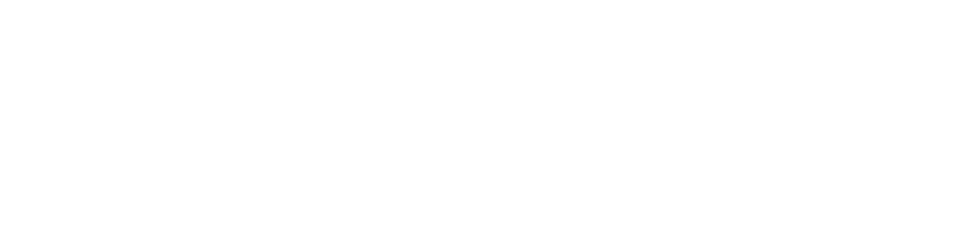 STEEL IQ LOGO WEBSITE White